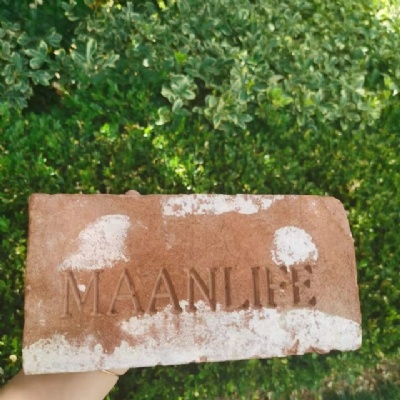 Embrace Heritage with Taitone antique Engraved Brick